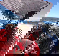 Adventure Rottnest Tour with Ferry  Adventure Cruise from Perth or Fremantle - Holiday Great Ocean Road