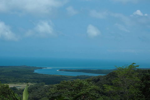 Cape Tribulation, Daintree Rainforest And Wildlife Tour - Holiday Great Ocean Road 1