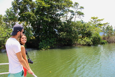 Cape Tribulation, Daintree Rainforest And Wildlife Tour - Holiday Great Ocean Road 2