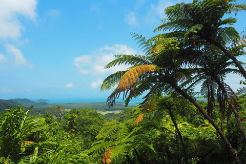 Cape Tribulation, Daintree Rainforest And Wildlife Tour - Holiday Great Ocean Road 3