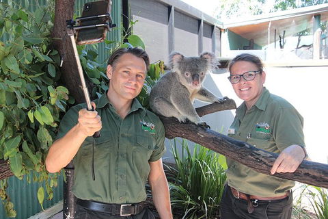 Virtual Interactive Australian Wildlife Tour With Private Guide-Wildlife Habitat - Holiday Great Ocean Road 0