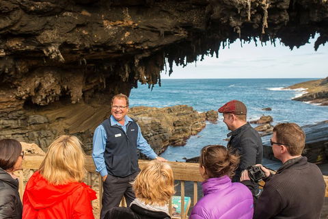 Kangaroo Island In A Day Tour From Adelaide - Holiday Great Ocean Road 3