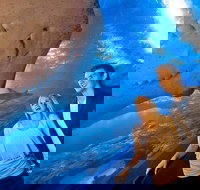 Dive with Sharks at AQWA - Holiday Great Ocean Road