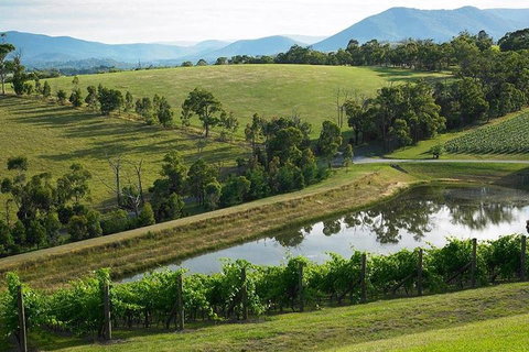 CHEVY CONVERTIBLE Package For 2 People- Wine Lunch Cheese & Chocolate From Melb. - Holiday Great Ocean Road 0