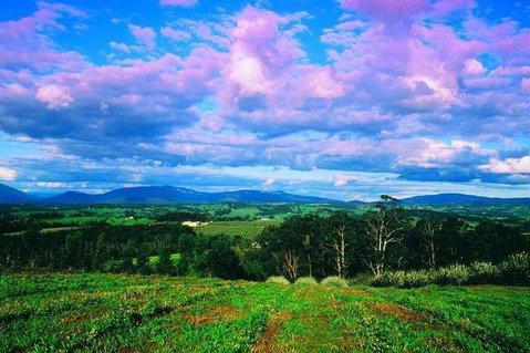 CHEVY CONVERTIBLE Package For 4 -Wine Lunch Cheese & Chocolate From Yarra Valley - Holiday Great Ocean Road 4