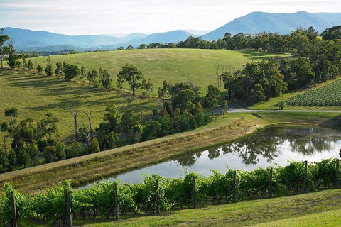 Yarra Valley Wine And Cider Tours By Classic Convertibles From Melbourne - Holiday Great Ocean Road 1