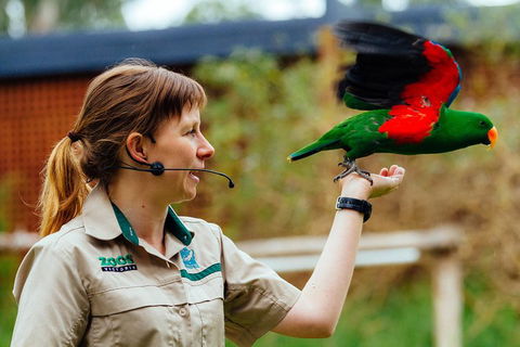 VIP Sanctuary Tour At Healesville Sanctuary Ticket - Holiday Great Ocean Road 0