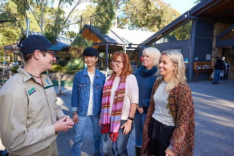 VIP Sanctuary Tour At Healesville Sanctuary Ticket - Holiday Great Ocean Road 3