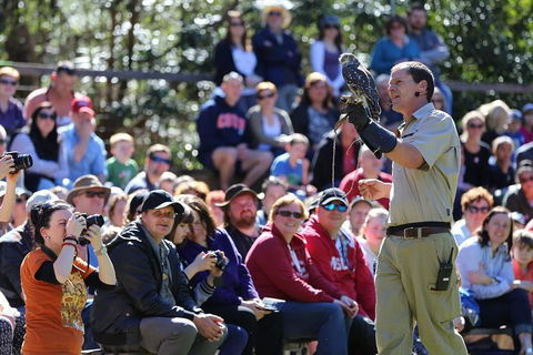 VIP Sanctuary Tour At Healesville Sanctuary Ticket - Holiday Great Ocean Road 4