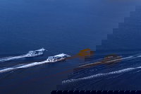 Moorilla Wine Meets Mona Art Day Trip, Hobart