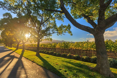 Very Best Of Perth Tour - Wildlife Park & City Highlights Tour - Holiday Great Ocean Road 2