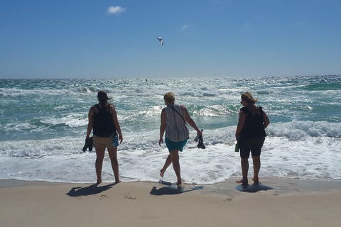 Very Best Of Perth Tour - Wildlife Park & City Highlights Tour - Holiday Great Ocean Road 5