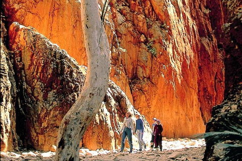 West MacDonnell Ranges Day Trip From Alice Springs - Holiday Great Ocean Road 3