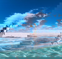 4-Day Coastal Loop via Monkey Mia Wild Dolphins Kalbarri Pinnacles Perth Return - Holiday Great Ocean Road