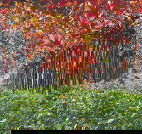 Margaret River Private Tour - Holiday Great Ocean Road