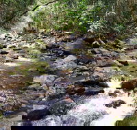 Springbrook Full Day Tour - Holiday Great Ocean Road