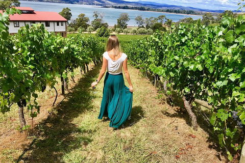 Tamar Valley Wine Tour With Lunch - Holiday Great Ocean Road 2