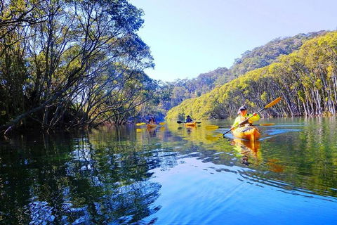 Half-Day Sydney Middle Harbour Guided Kayaking Eco Tour - Holiday Great Ocean Road 1