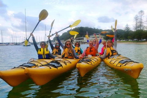 Half-Day Sydney Middle Harbour Guided Kayaking Eco Tour - Holiday Great Ocean Road 2
