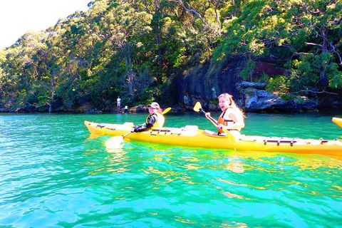 Half-Day Sydney Middle Harbour Guided Kayaking Eco Tour - Holiday Great Ocean Road 4