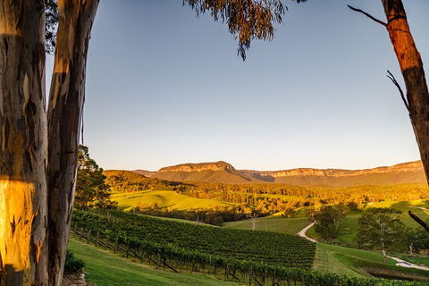 Taste Of The Blue Mountains - Lunch & Wine Tasting, Beer, Cider & Gin Tasting - Holiday Great Ocean Road 1