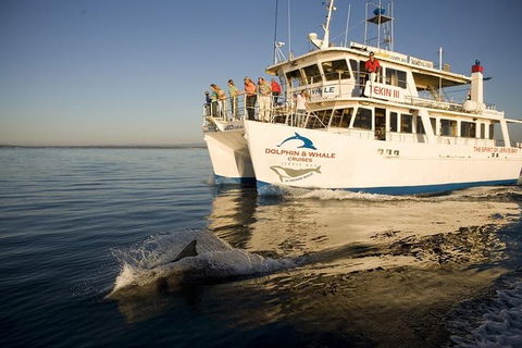 Jervis Bay Dolphin Watch Cruise - Holiday Great Ocean Road 3