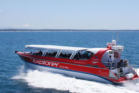 Whale Watching Jervis Bay - Holiday Great Ocean Road 1