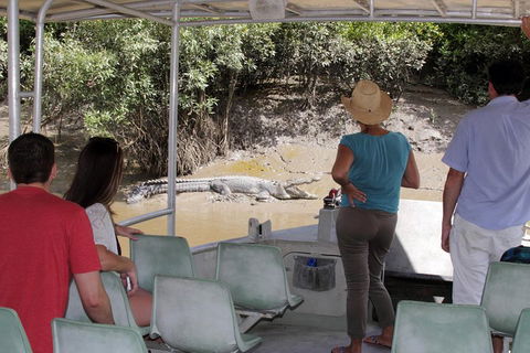 Whitsunday Crocodile Safari Including Lunch - Holiday Great Ocean Road 4