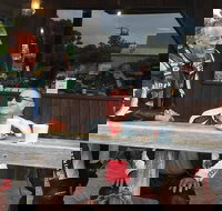 Triumph Street Scrambler 900cc - Holiday Great Ocean Road