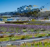 Private Hobart Discover South East Food and Scenic Tour - Holiday Great Ocean Road
