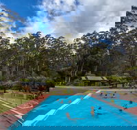 Tahune Airwalk Active Day Trip from Hobart Including Hastings Caves - Holiday Great Ocean Road