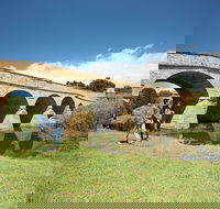 Richmond Historic Afternoon Tour from Hobart - Holiday Great Ocean Road