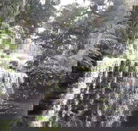 6-Day Hearty Tasmania Tour Tasmania in a Circle - Holiday Great Ocean Road