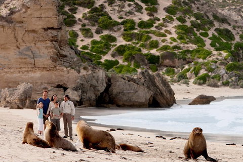 Kangaroo Island Scenic Trail Tour - Holiday Great Ocean Road 5