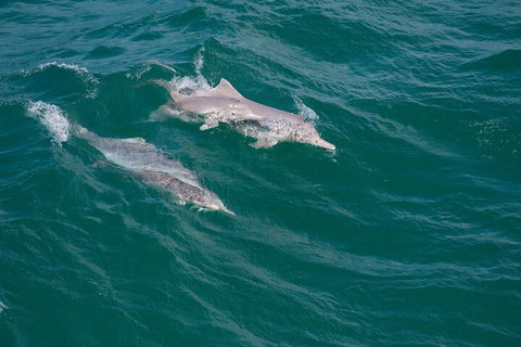 North Stradbroke Island Private Tour With Pickup - Holiday Great Ocean Road 0