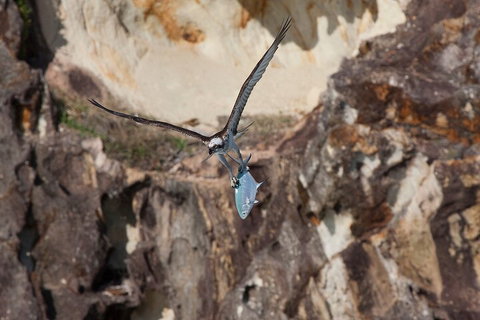 North Stradbroke Island Private Tour With Pickup - Holiday Great Ocean Road 2