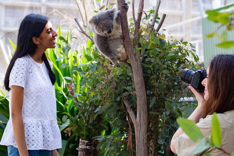WILD LIFE Sydney Entrance Ticket - Holiday Great Ocean Road 1