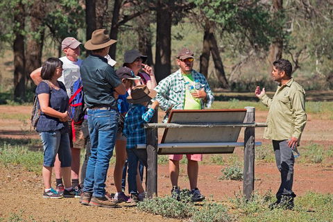 Yura Udnyu - Our Culture, Your Culture (Aboriginal Cultural Walk) - Holiday Great Ocean Road 2