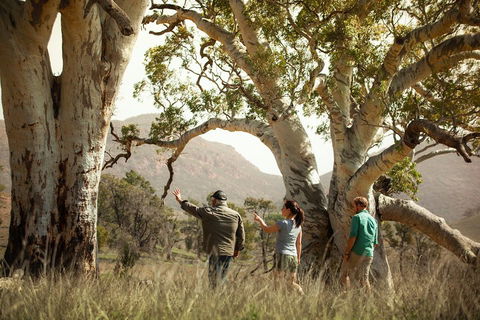 Yura Udnyu - Our Culture, Your Culture (Aboriginal Cultural Walk) - Holiday Great Ocean Road 5