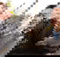 Bonorong Wildlife Park and Richmond Afternoon Tour from Hobart - Holiday Great Ocean Road