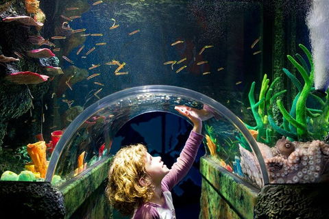 Melbourne BIG Ticket - LEGOLAND Discovery And SEA LIFE Melbourne - Holiday Great Ocean Road 2