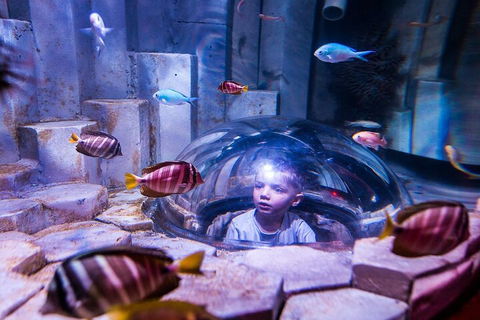 Melbourne BIG Ticket - LEGOLAND Discovery And SEA LIFE Melbourne - Holiday Great Ocean Road 5