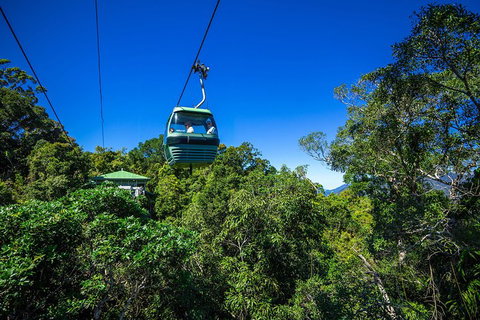 Classic Kuranda By Skyrail And Scenic Railway Including Rainforestation, Koala And Wildlife Park And Pamagirri Aboriginal Experi - Holiday Great Ocean Road 0