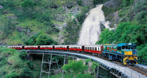 Classic Kuranda By Skyrail And Scenic Railway Including Rainforestation, Koala And Wildlife Park And Pamagirri Aboriginal Experi - Holiday Great Ocean Road 1