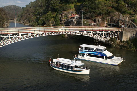 2.5 Hour Morning Discovery Cruise Including Sailing Into The Cataract Gorge - Holiday Great Ocean Road 5