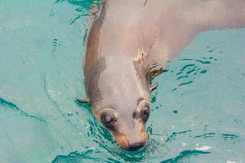 Wilsons Promontory Full Day Cruise - Holiday Great Ocean Road 0