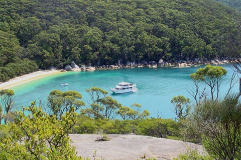 Wilsons Promontory Full Day Cruise - Holiday Great Ocean Road 2