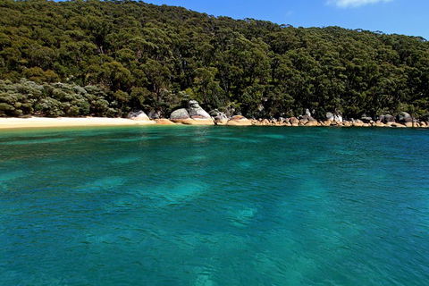 Wilsons Promontory Full Day Cruise - Holiday Great Ocean Road 4