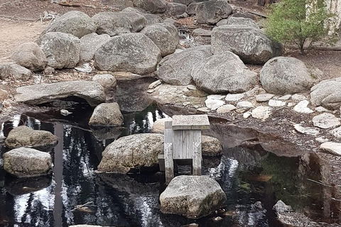 Bendigo, Echuca & The Mighty Murray - Holiday Great Ocean Road 1